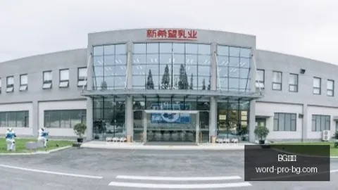 电竞产业数据，BG真人官网，报告发布，行业趋势分析